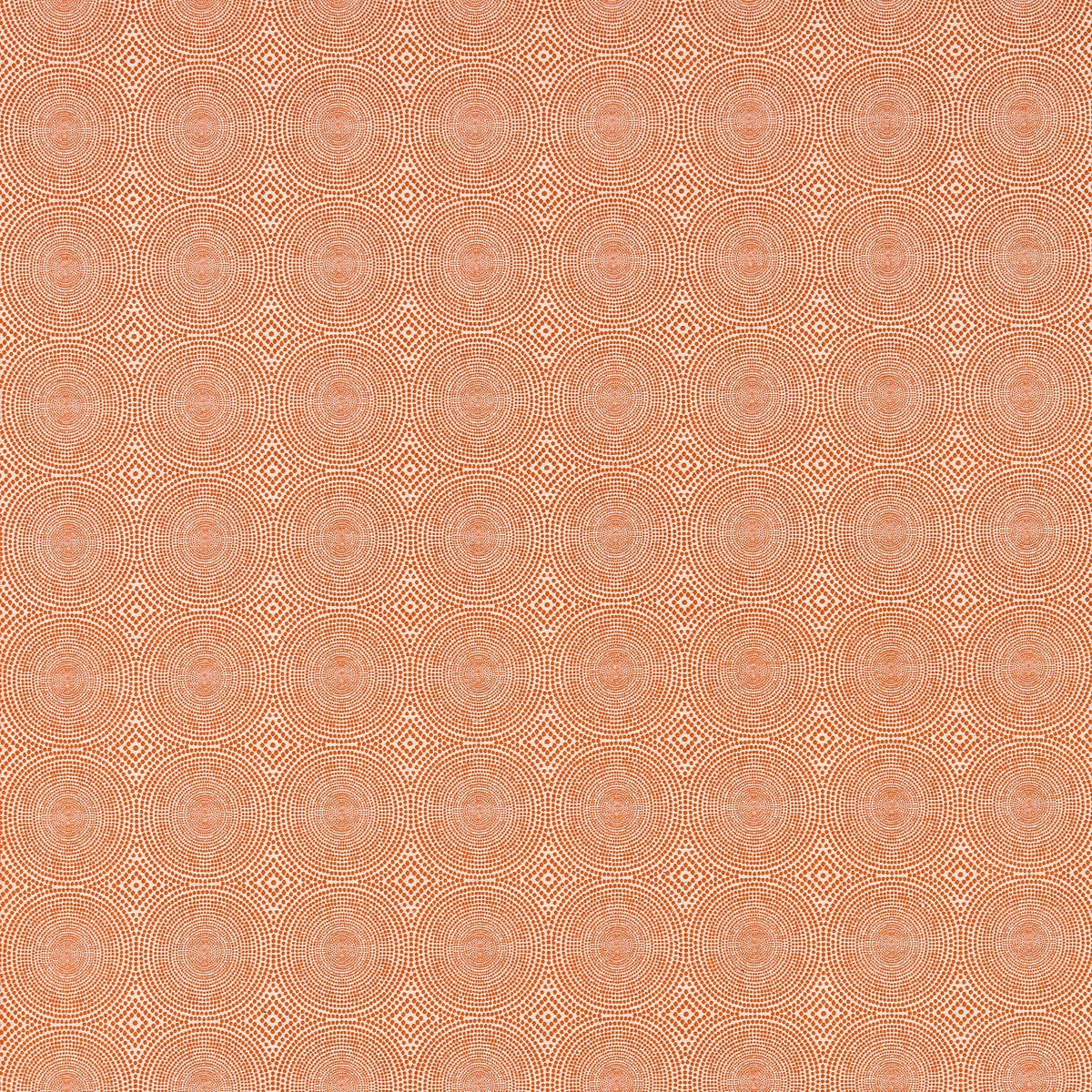 SCION KATERI TANGERINE