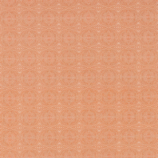 SCION KATERI TANGERINE