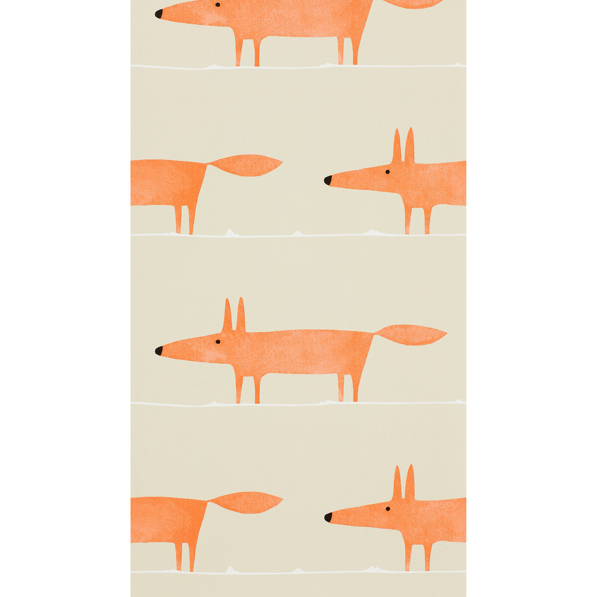 SCION MR FOX WP GINGER