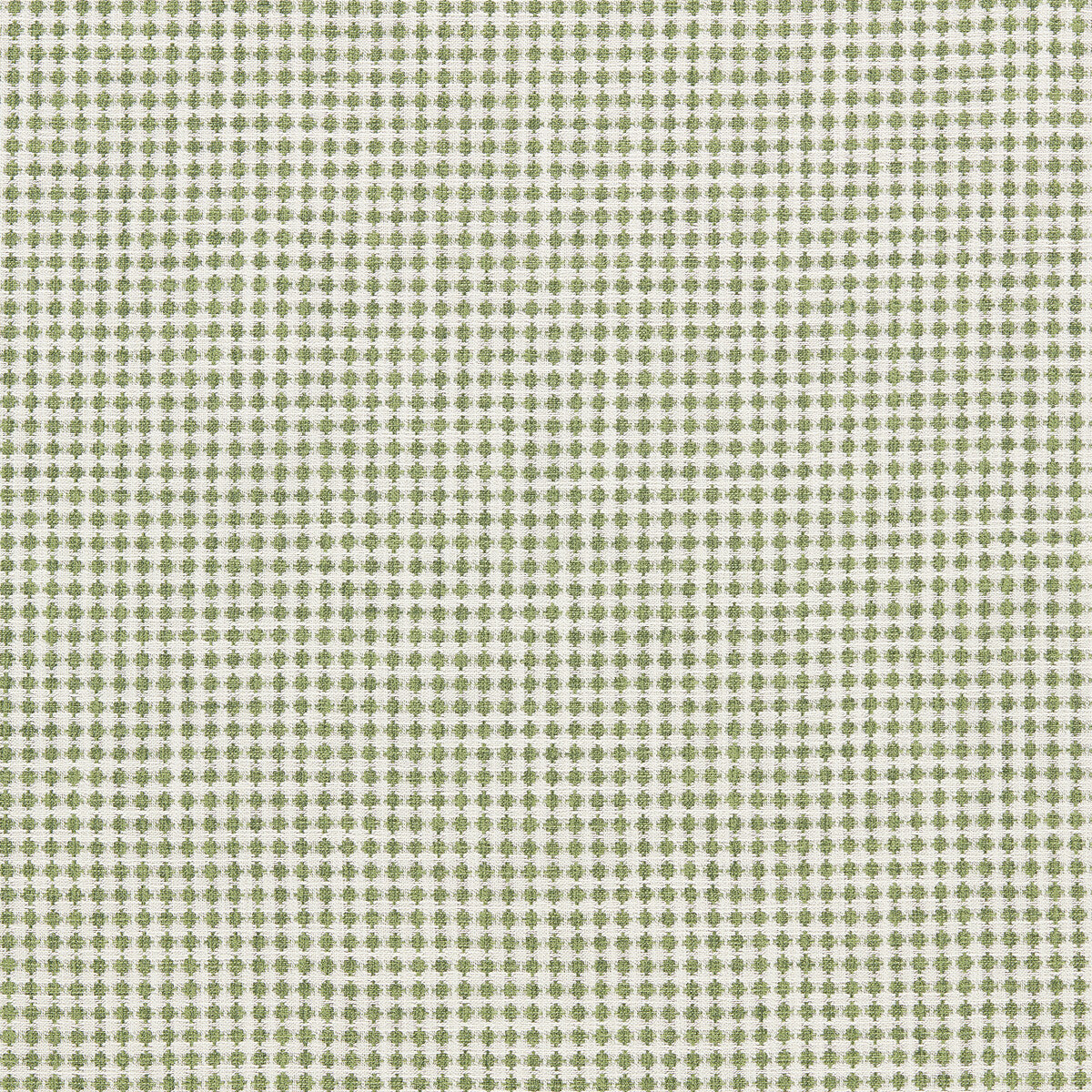 SCION RAGDALE PINE