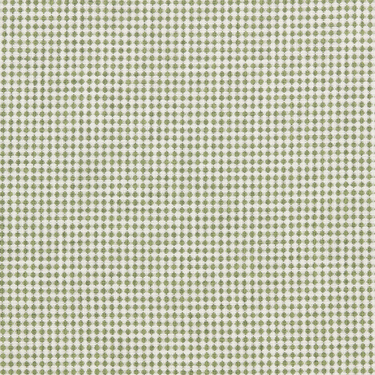 SCION RAGDALE PINE