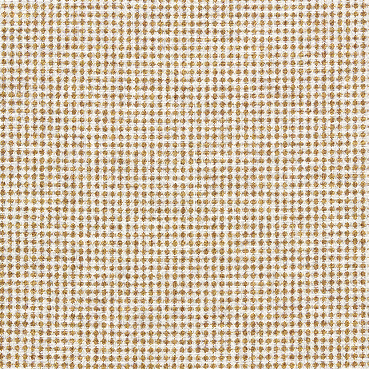 SCION RAGDALE BARLEY