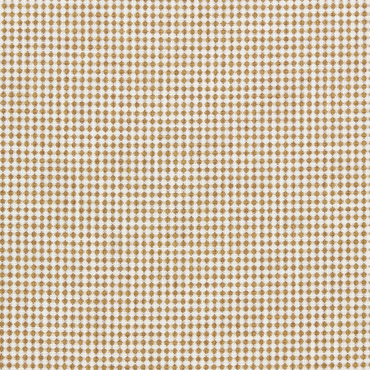 SCION RAGDALE BARLEY