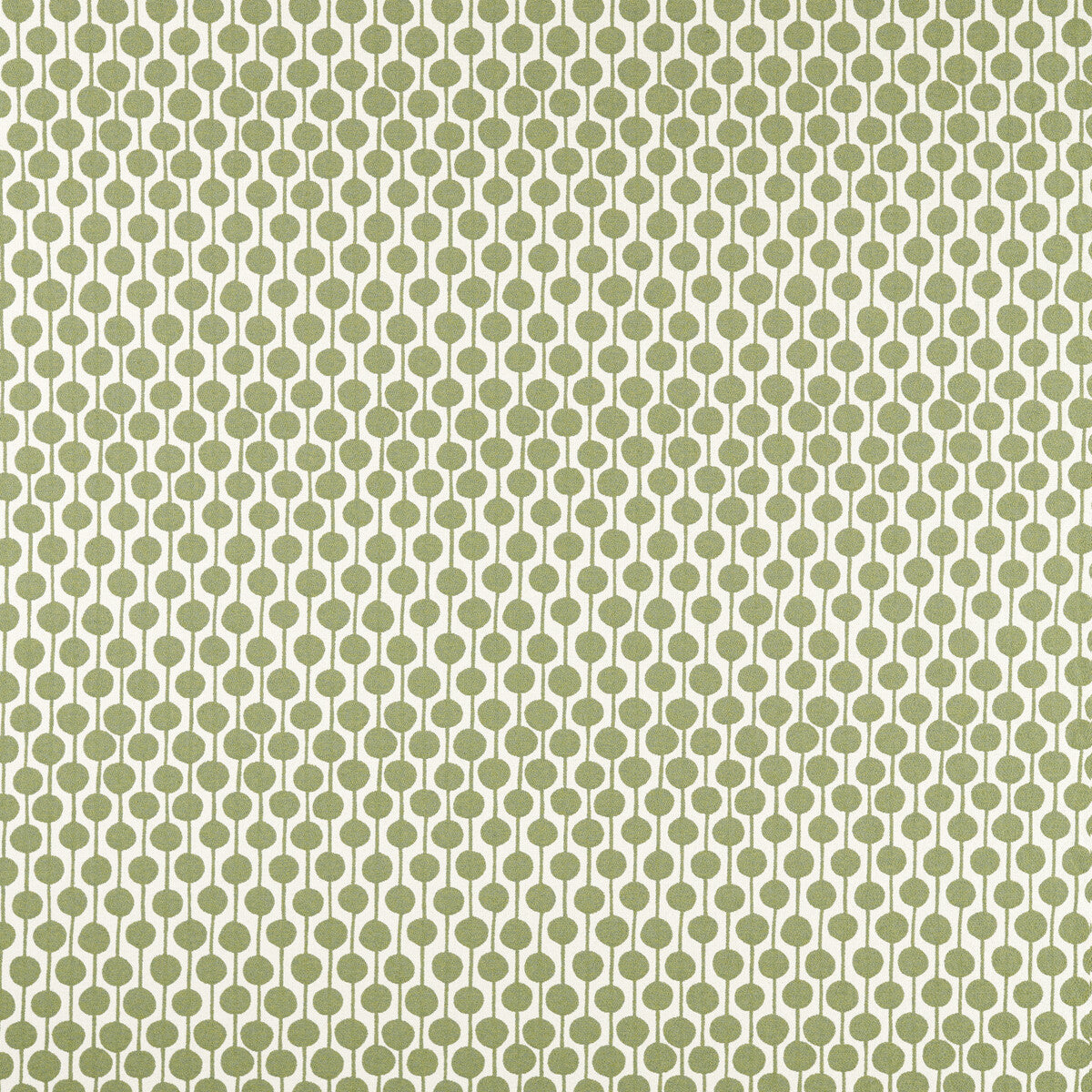 SCION TAIMI PINE