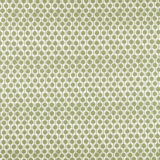 SCION TAIMI PINE
