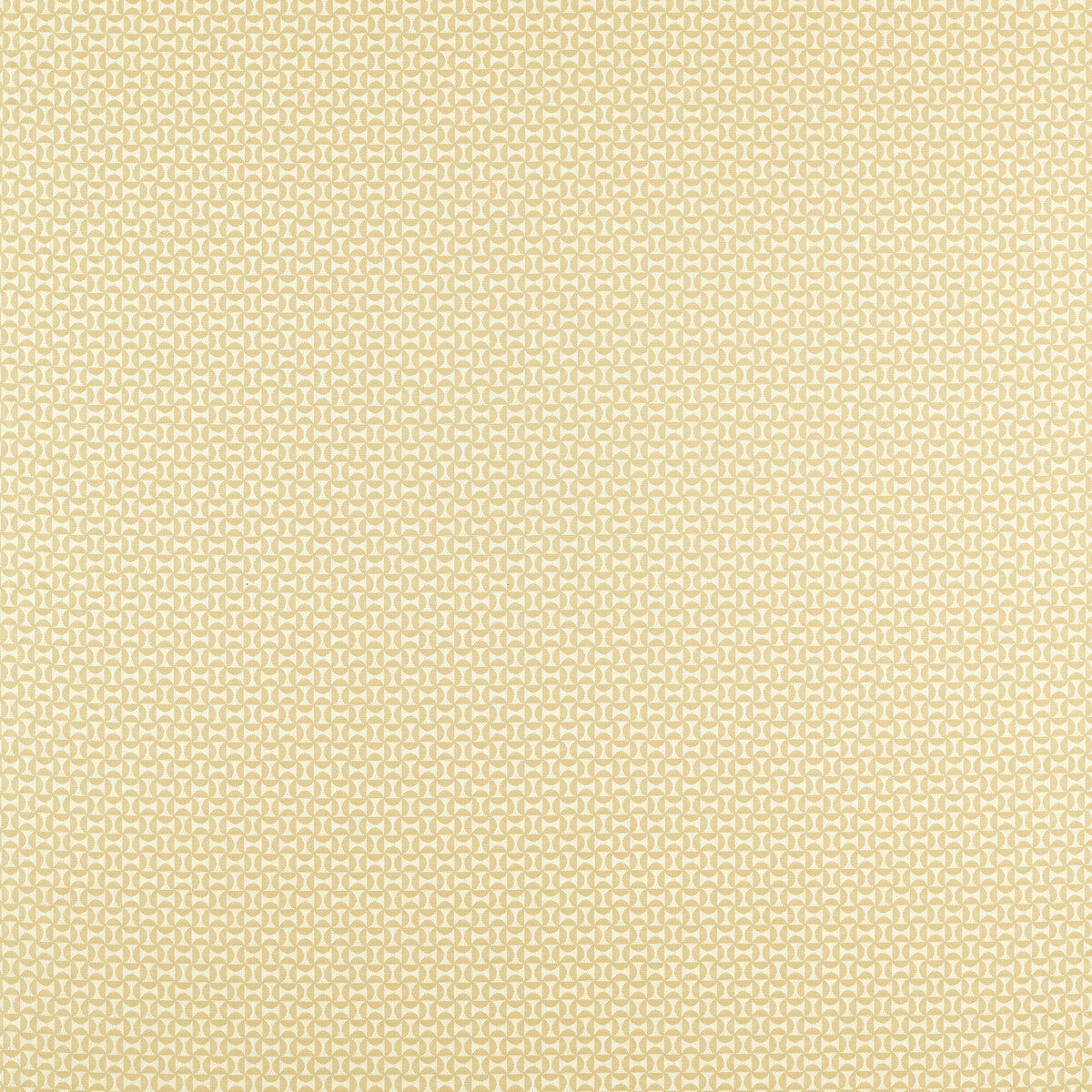 SCION FORMA RAFFIA