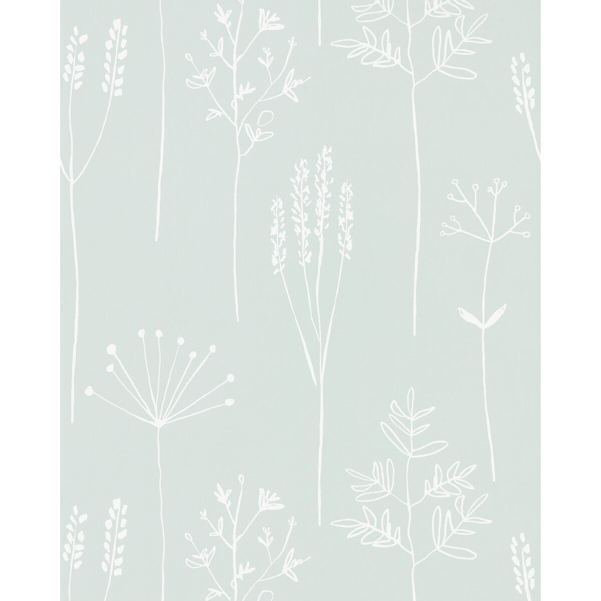 SCION STIPA FROST