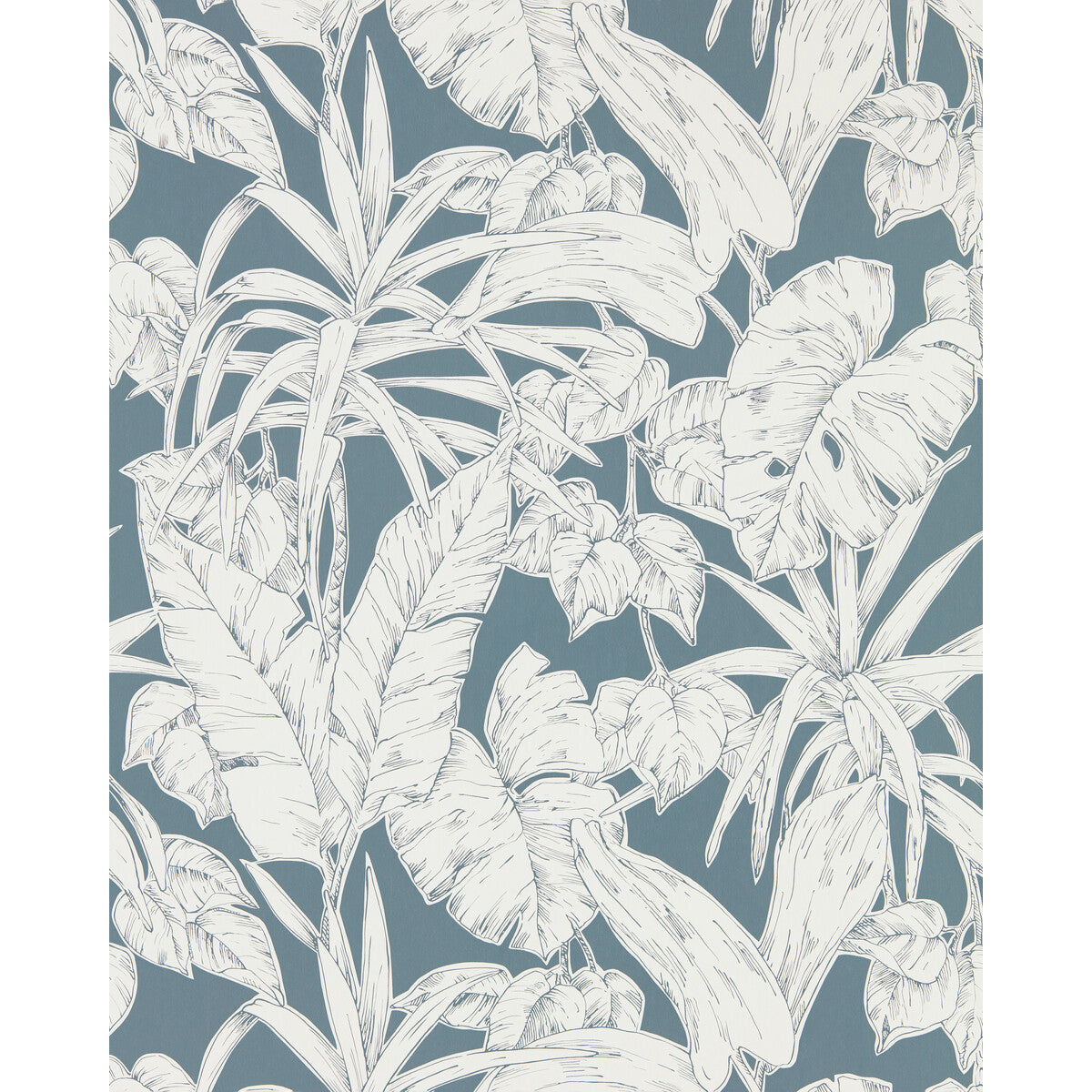 SCION PARLOUR PALM