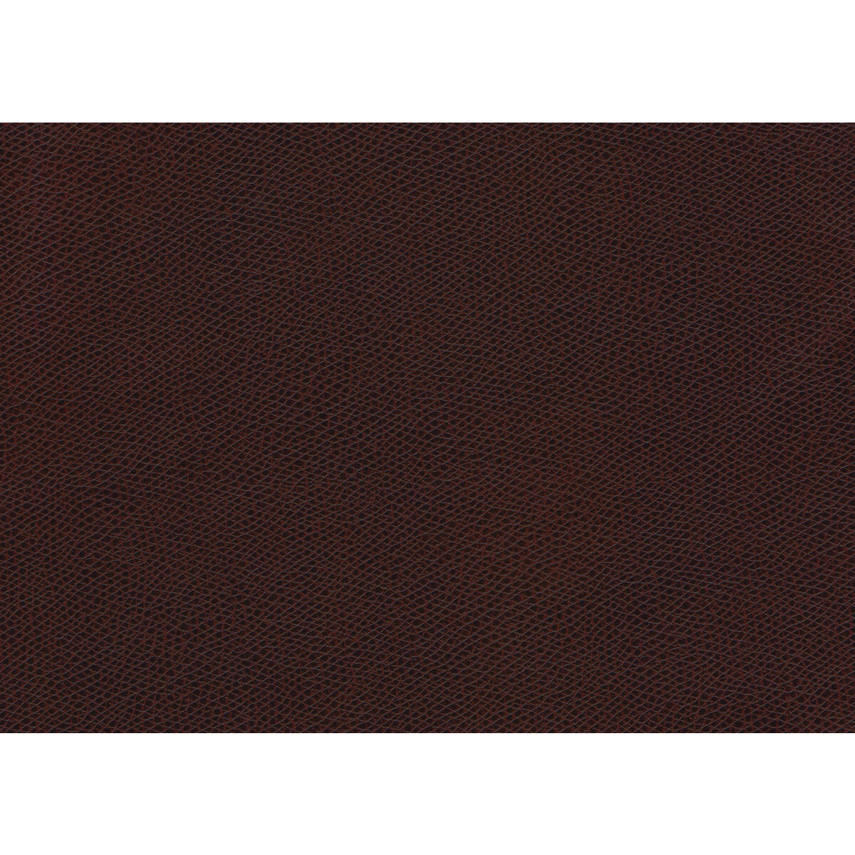 KRAVET CONTRACT OPHIDIAN RAISIN