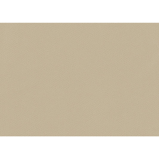 KRAVET CONTRACT OPHIDIAN OATMEAL