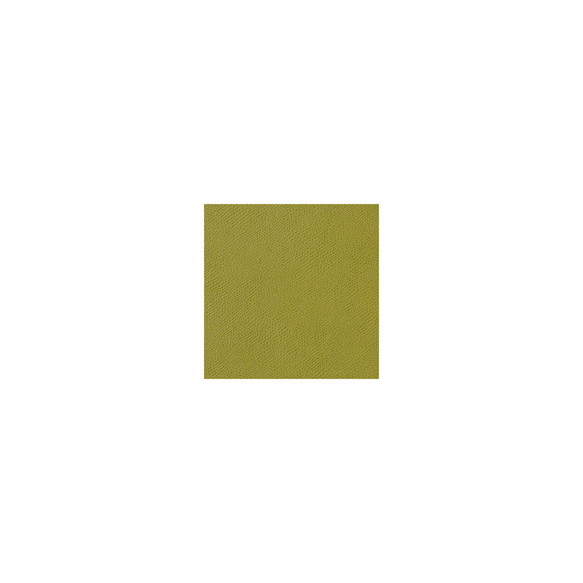 KRAVET CONTRACT OPHIDIAN LIME