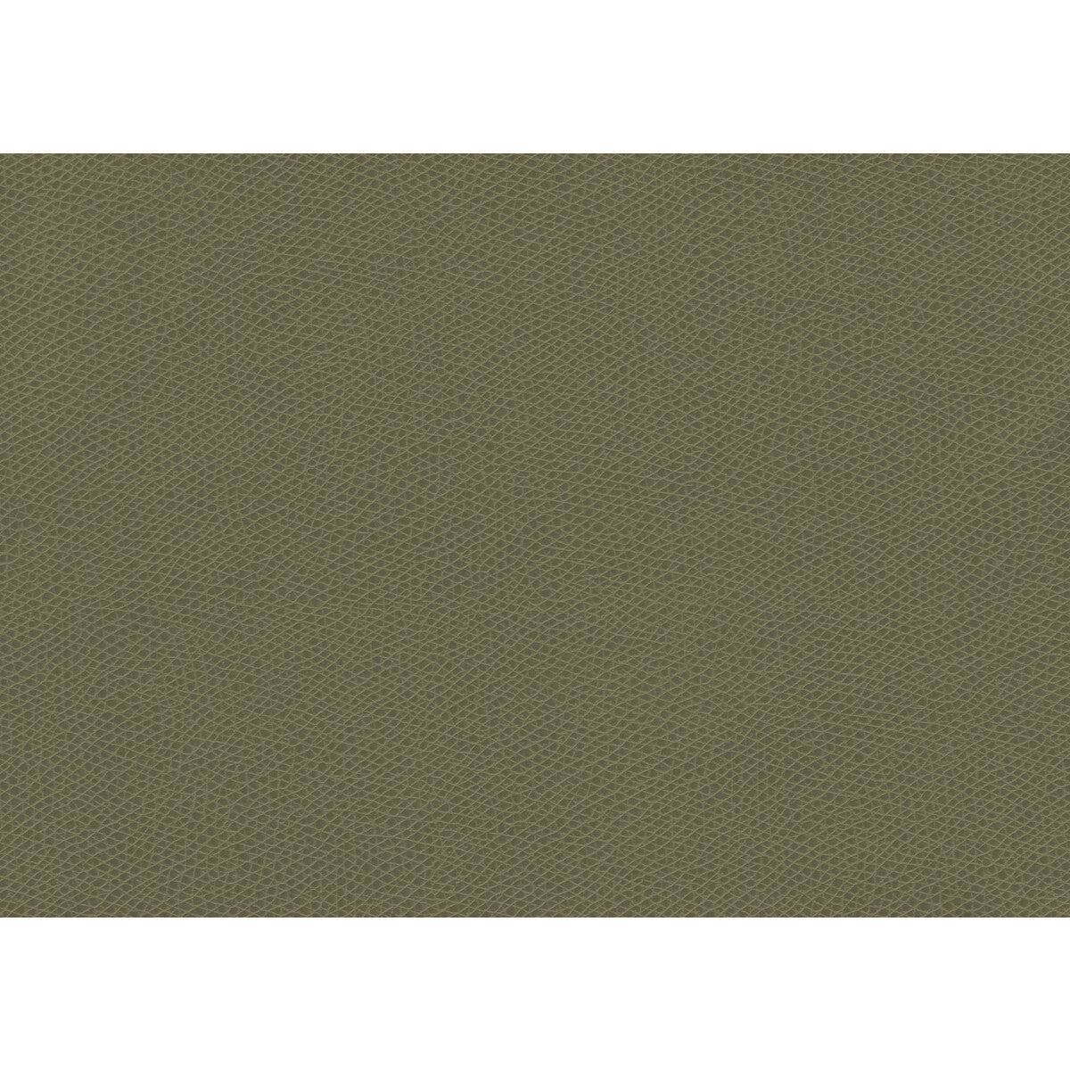 KRAVET CONTRACT OPHIDIAN SAGE