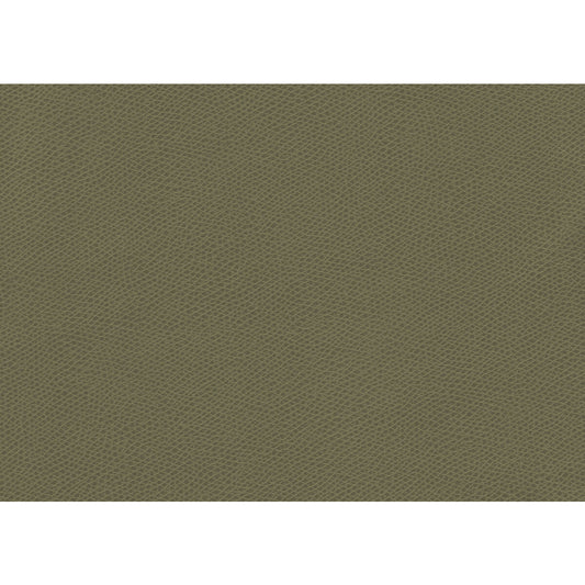 KRAVET CONTRACT OPHIDIAN SAGE