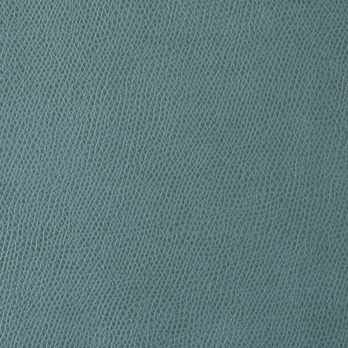 KRAVET CONTRACT OPHIDIAN PATINA