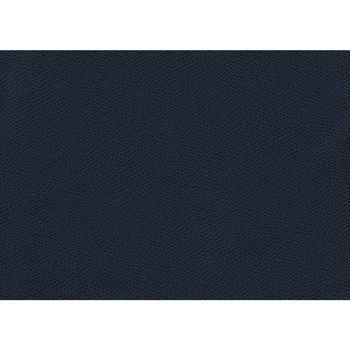 KRAVET CONTRACT OPHIDIAN MIDNIGHT