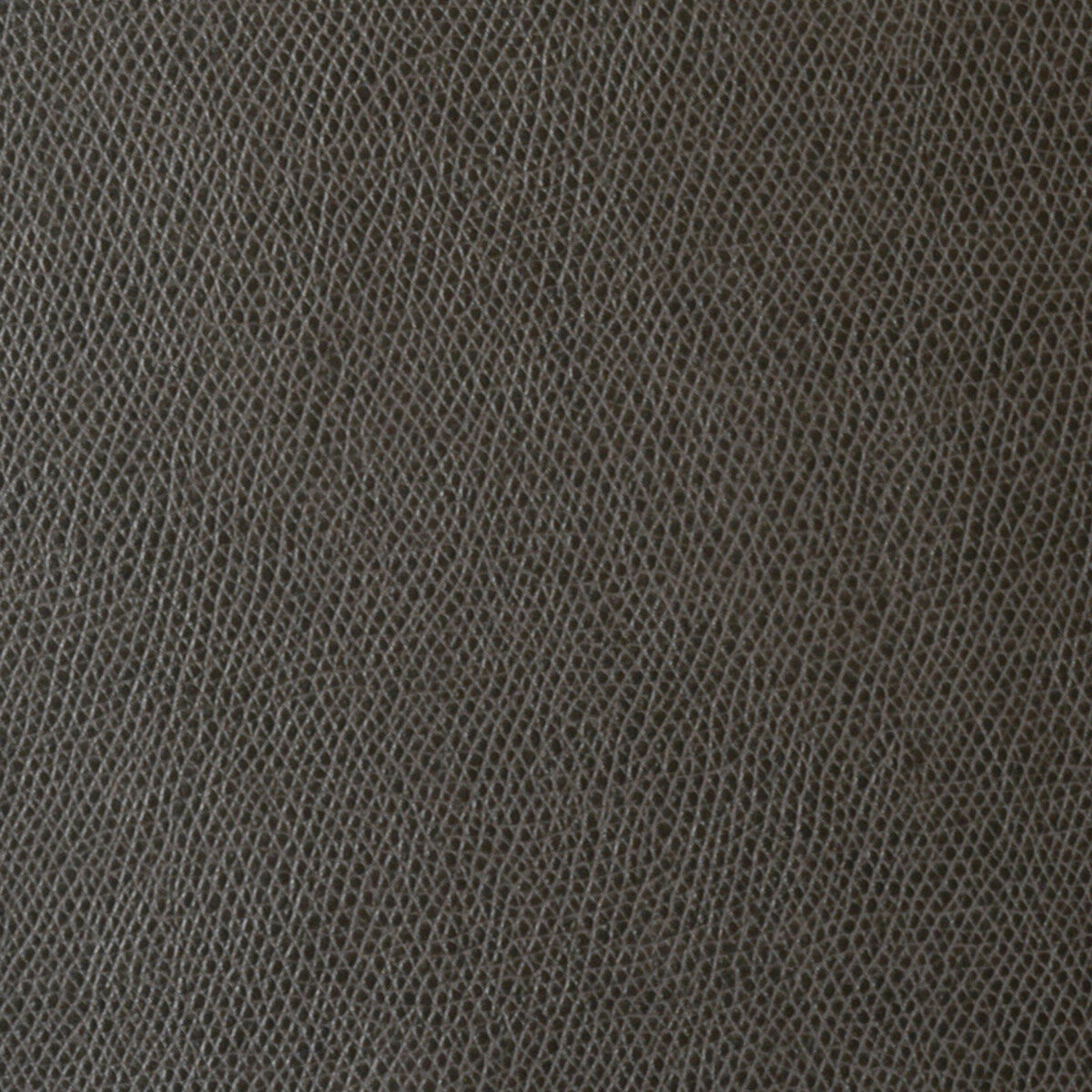 KRAVET CONTRACT OPHIDIAN CHARCOAL