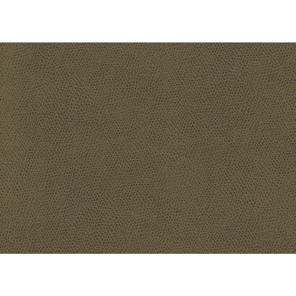 KRAVET CONTRACT OPHIDIAN BARK