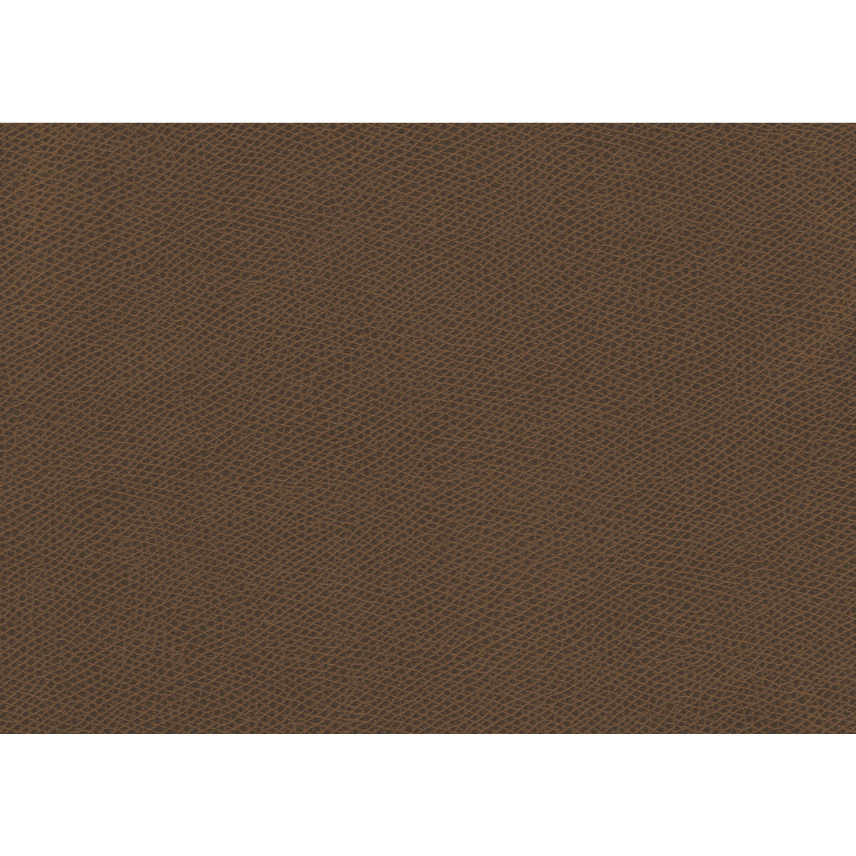 KRAVET CONTRACT OPHIDIAN MAPLE
