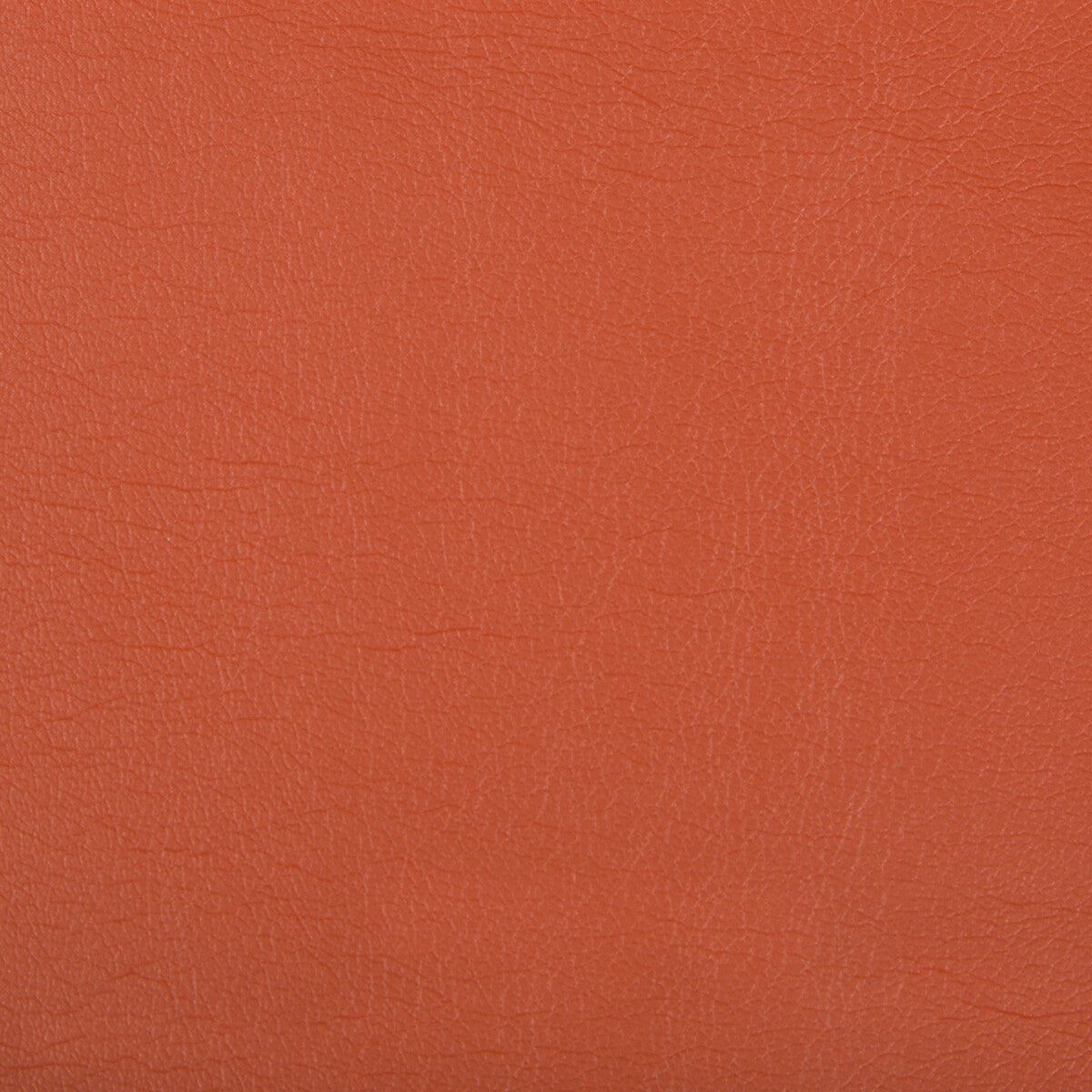 KRAVET CONTRACT OPTIMA NECTARINE