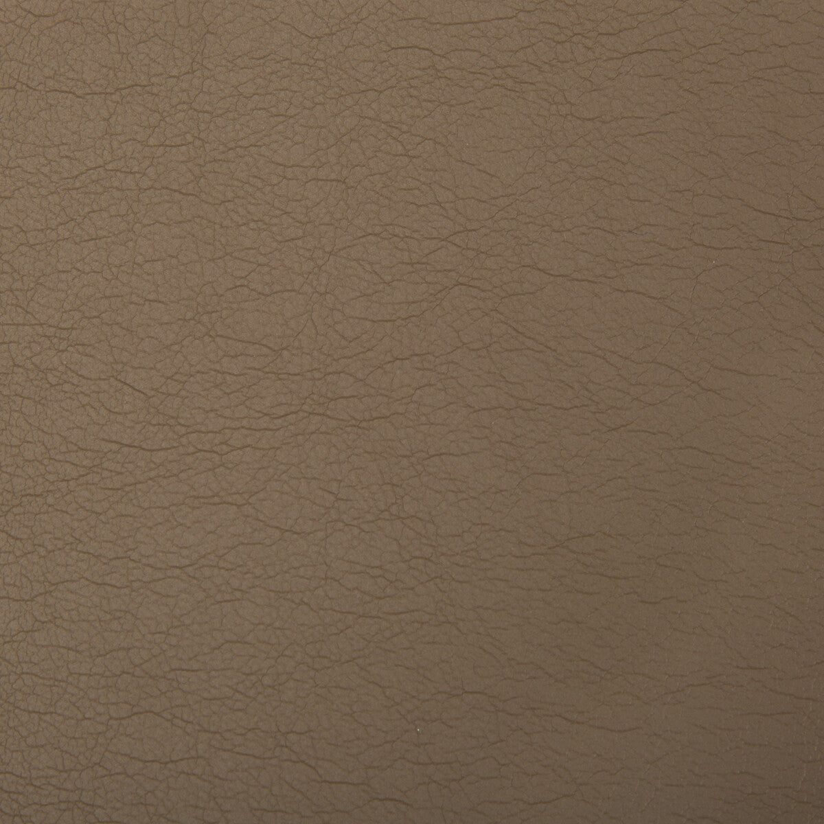 KRAVET CONTRACT OPTIMA PRALINE