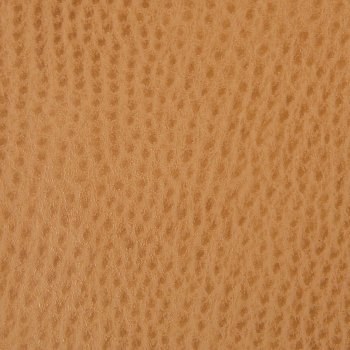 KRAVET SMART KRAVET SMART OSSY-4