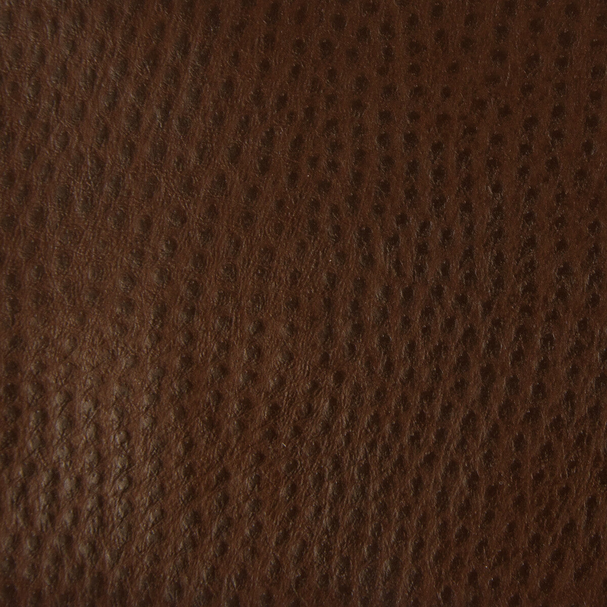 KRAVET SMART KRAVET SMART OSSY-6