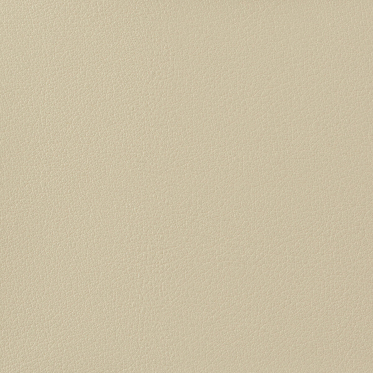 KRAVET BASICS KRAVET BASICS OTTO-1116