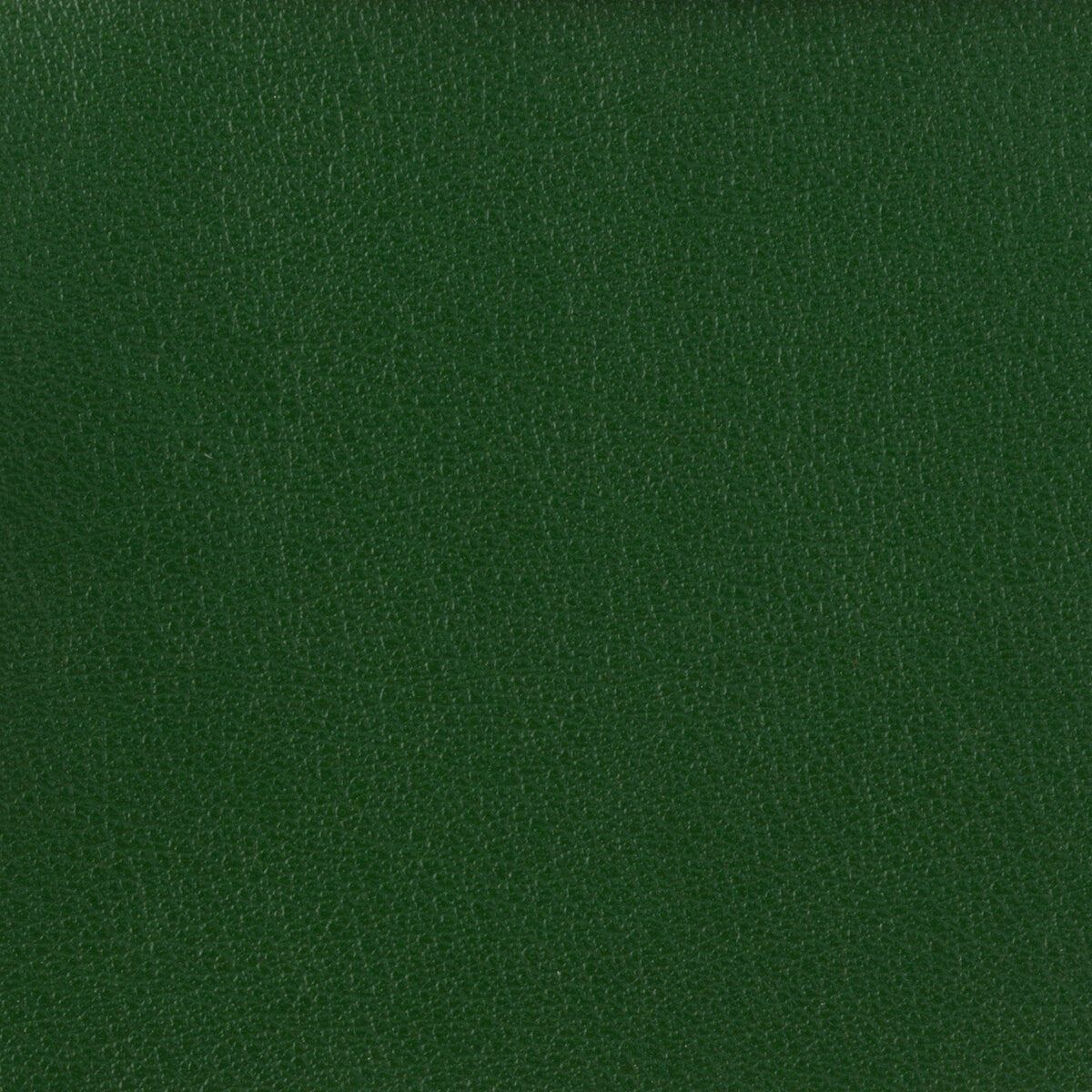 KRAVET BASICS KRAVET BASICS OTTO-3