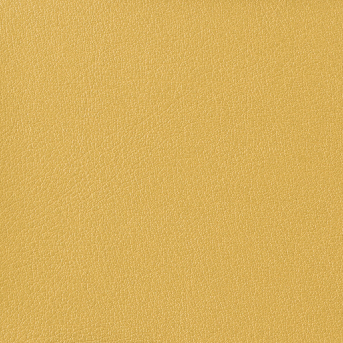 KRAVET BASICS KRAVET BASICS OTTO-40