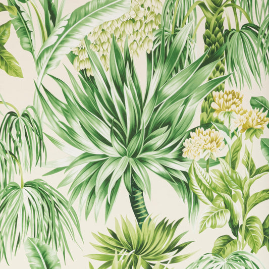 LEE JOFA CALUYA PAPER PALM