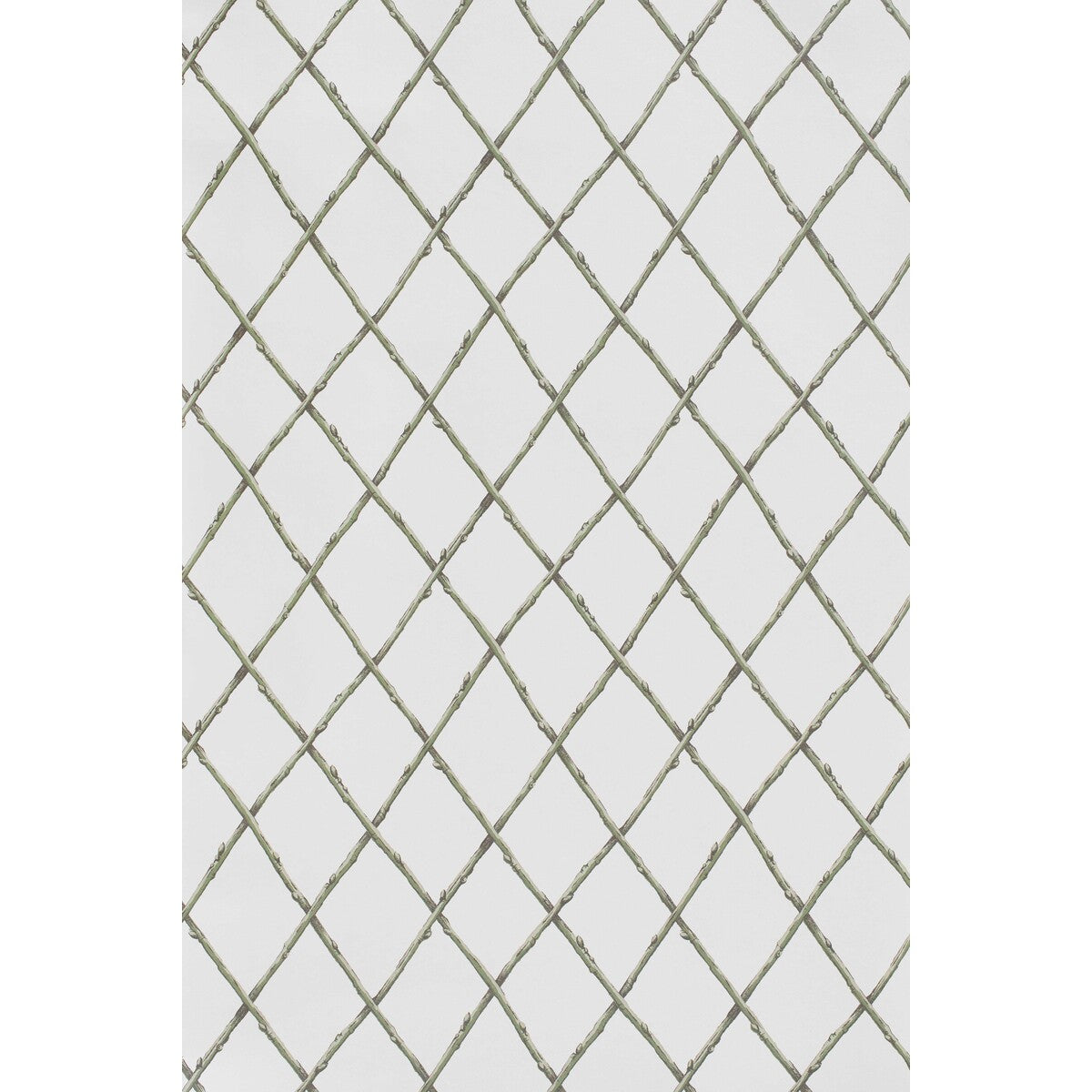 LEE JOFA BARE TWIG TRELLIS WP GREEN