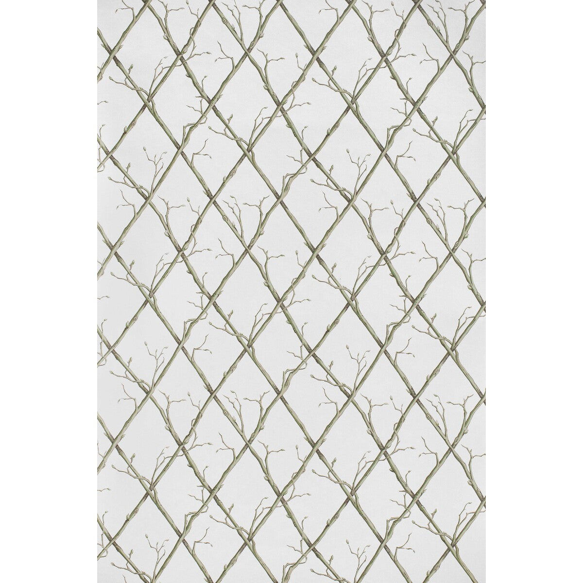 LEE JOFA TWIG TRELLIS WP GREEN
