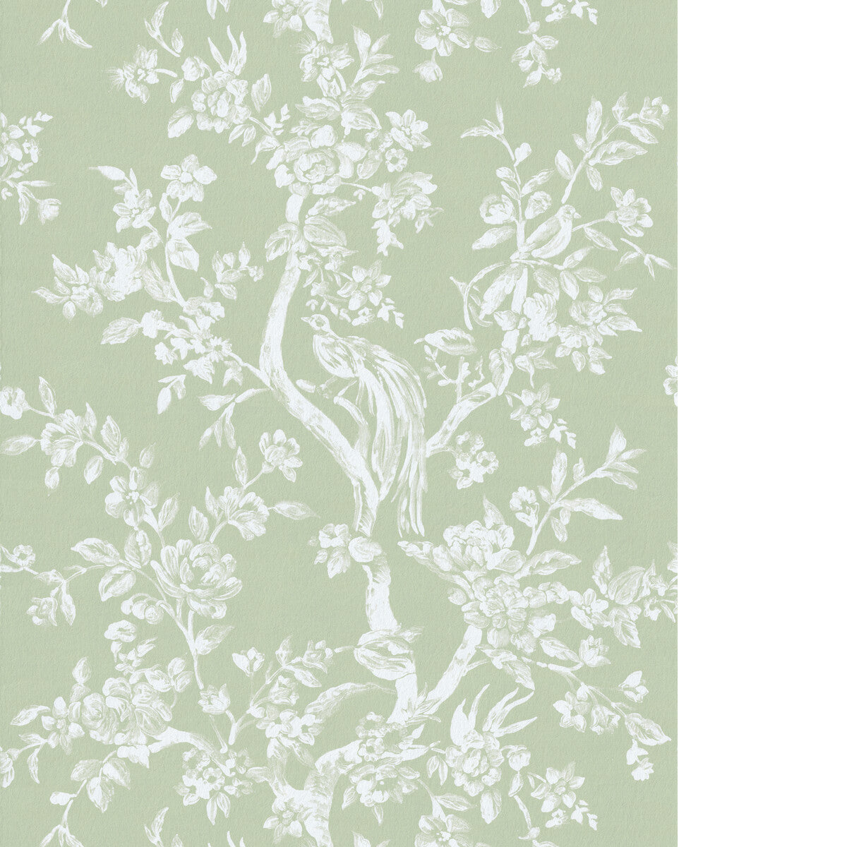 LEE JOFA CAMELLIA TOILE WP PEAR