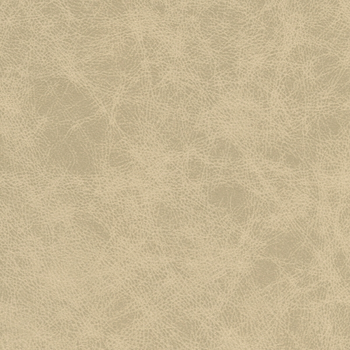 KRAVET DESIGN KRAVET DESIGN PATCH-11