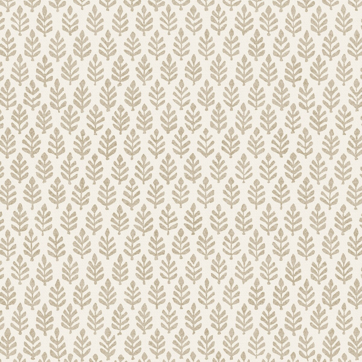 PURE EDIT FOLIA STONE