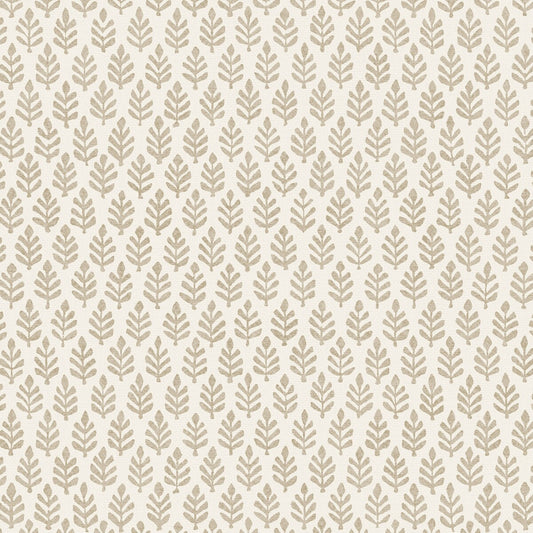 PURE EDIT FOLIA STONE