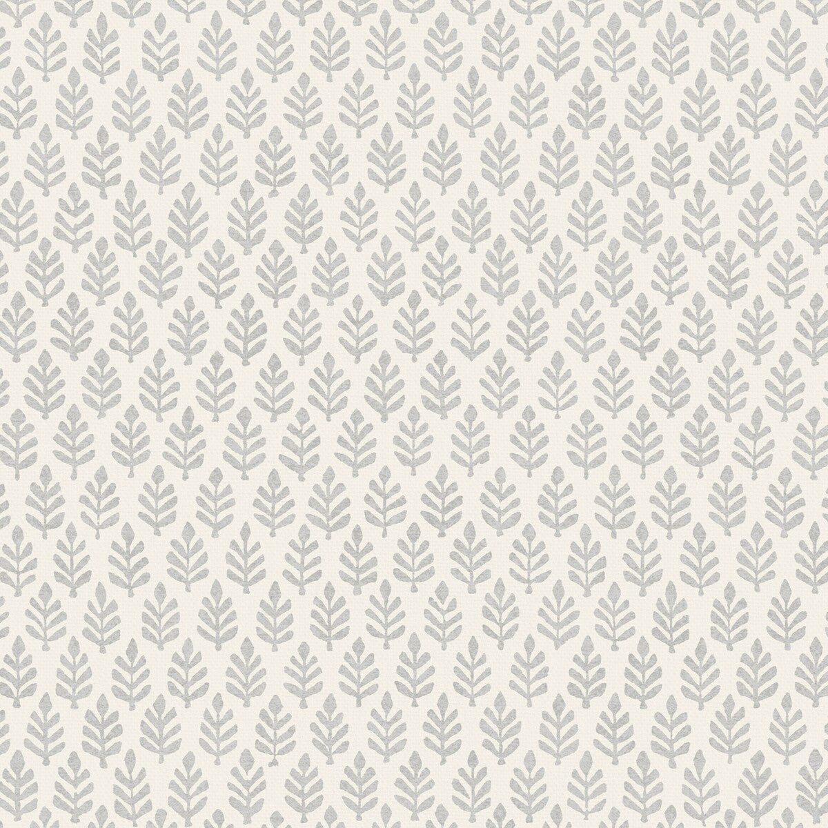 PURE EDIT FOLIA DOVE