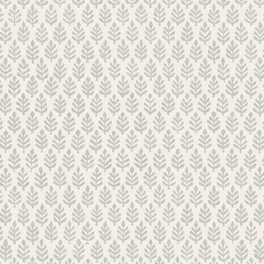 PURE EDIT FOLIA DOVE