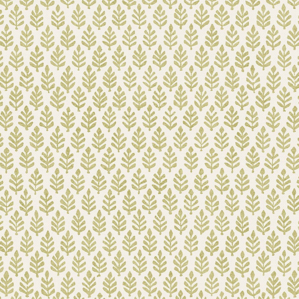 PURE EDIT FOLIA MOSS