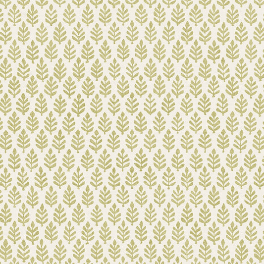 PURE EDIT FOLIA MOSS