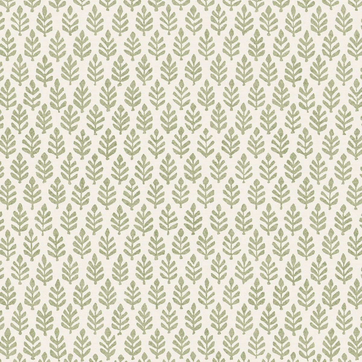 PURE EDIT FOLIA SAGE