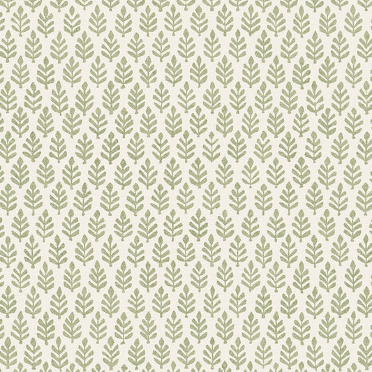 PURE EDIT FOLIA SAGE