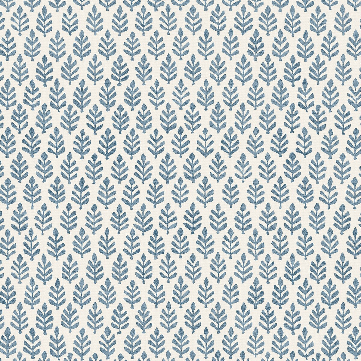 PURE EDIT FOLIA DENIM