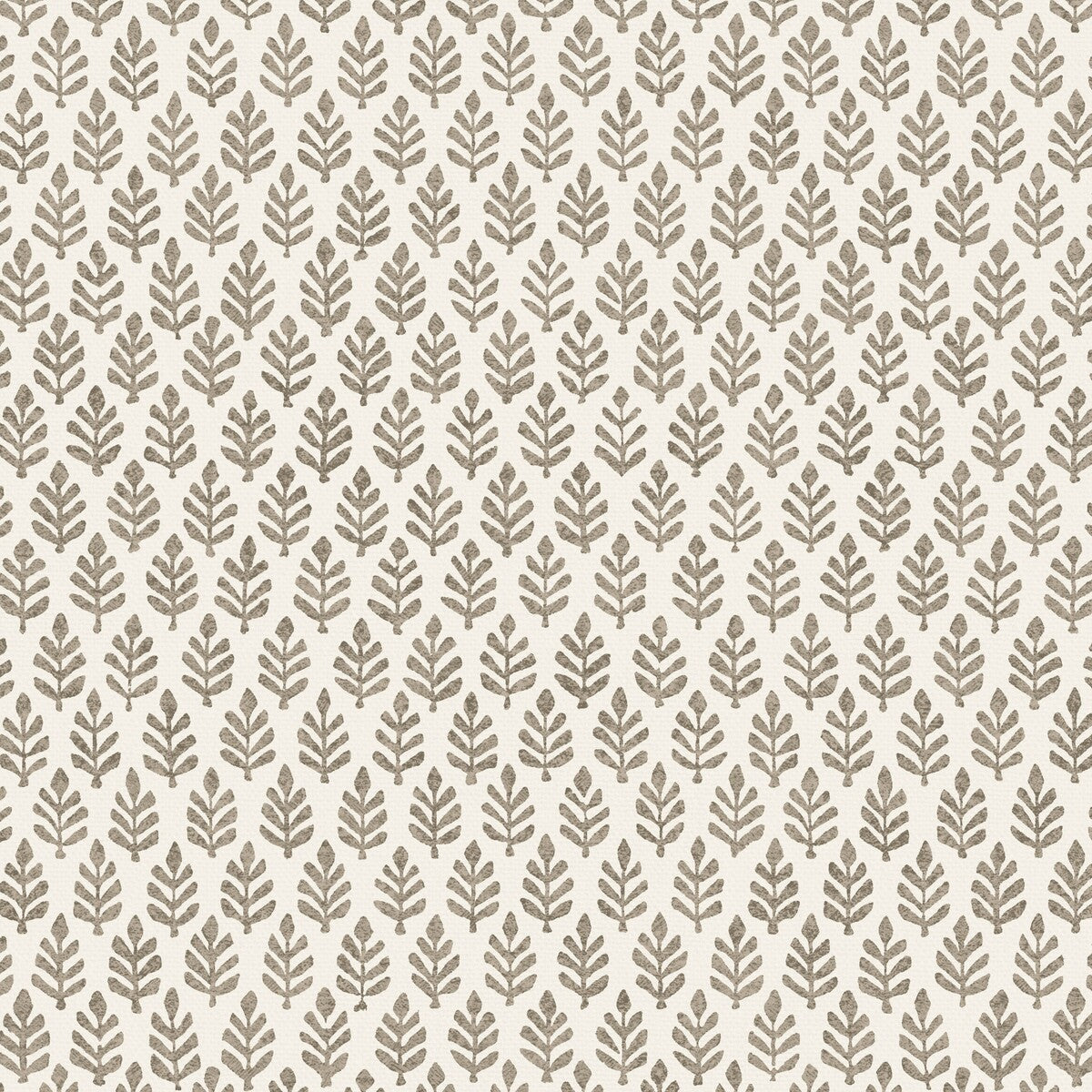PURE EDIT FOLIA ESPRESSO