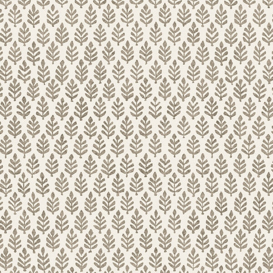 PURE EDIT FOLIA ESPRESSO