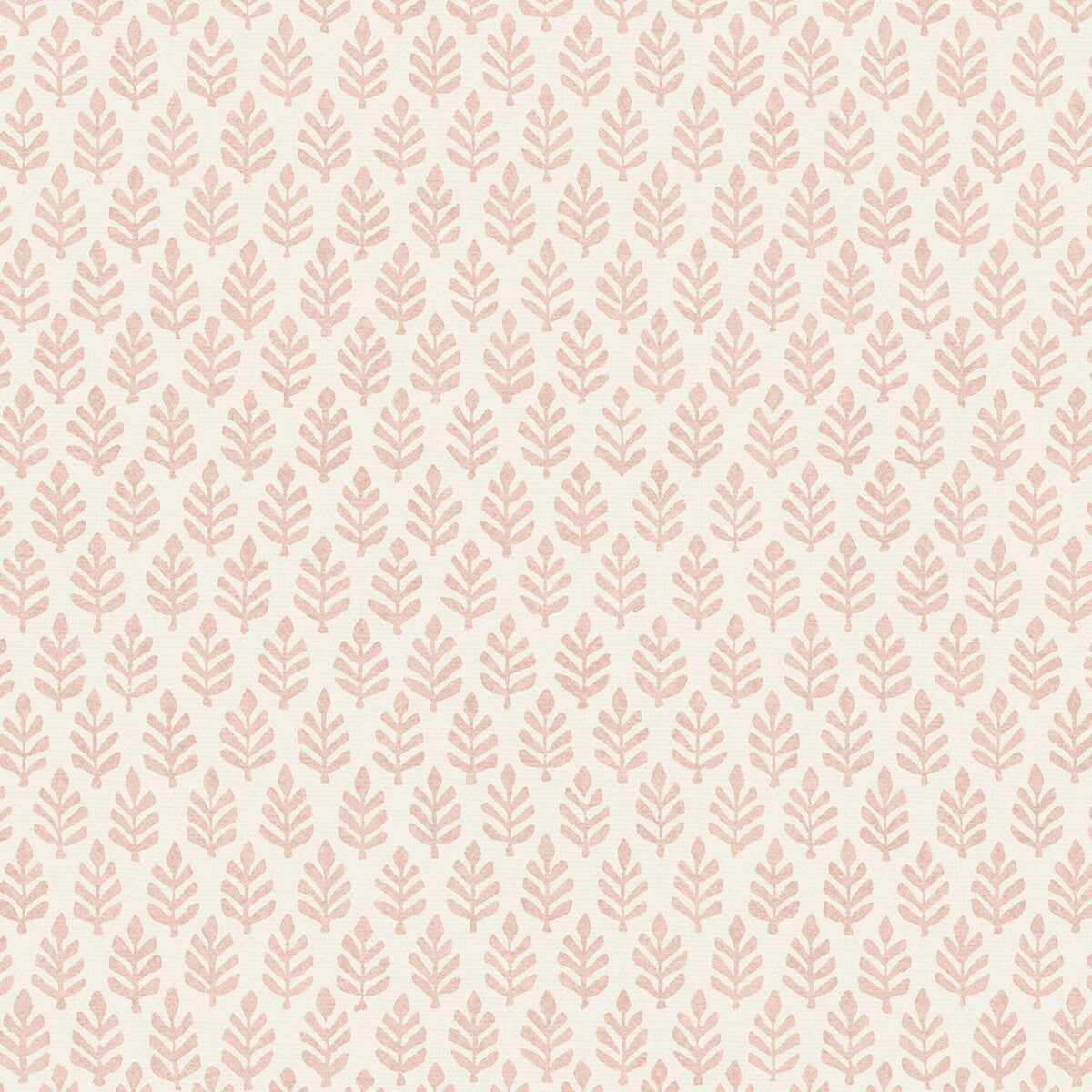 PURE EDIT FOLIA ROSE