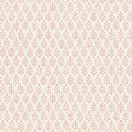 PURE EDIT FOLIA ROSE