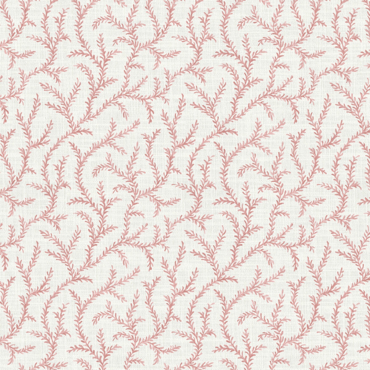 PURE EDIT INAYA ROSE