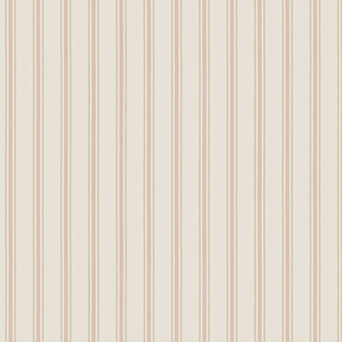 PURE EDIT MALIKA BLUSH