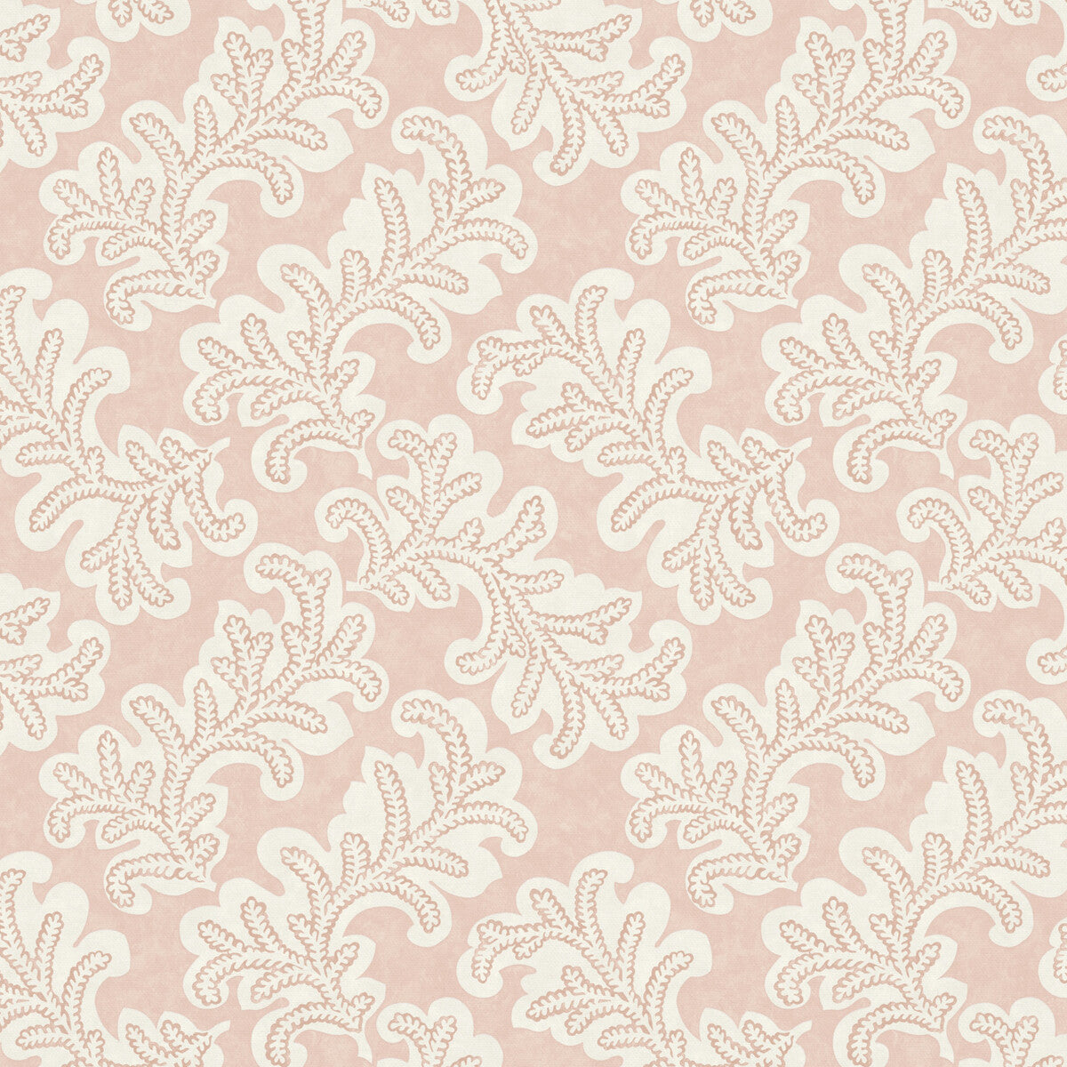 PURE EDIT ODILA ROSE